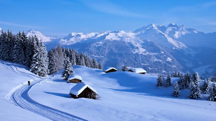 Kashmir Tour Package 5N/6D in Kashmir, India photo 1