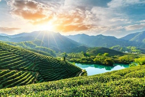 Sikkim & Darjeeling Tour Package 5N/6D in Sikkim, India photo 1