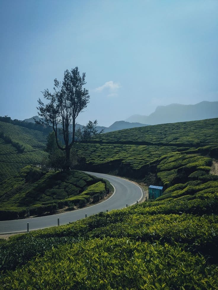 Kerala Tour Package 2N/3D in Kerala, India photo 1