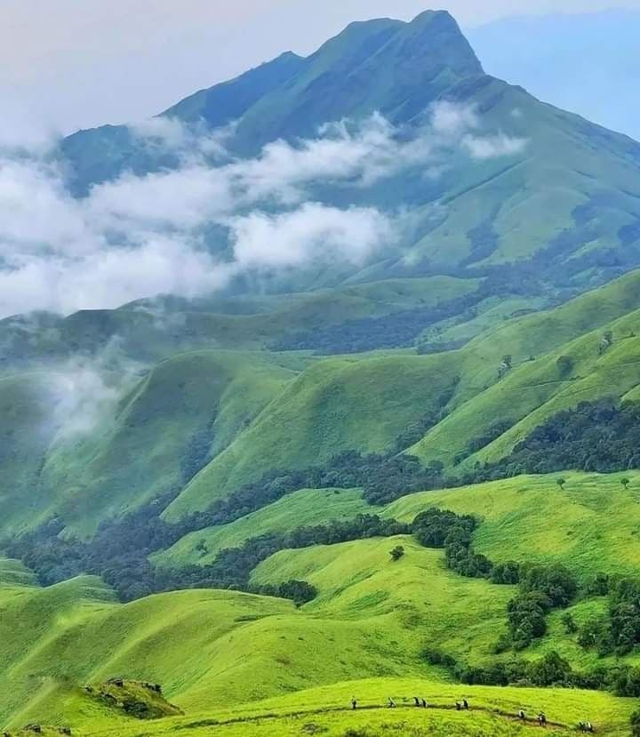 Kerala Tour Package 3N/4D in Kerala, India photo 1