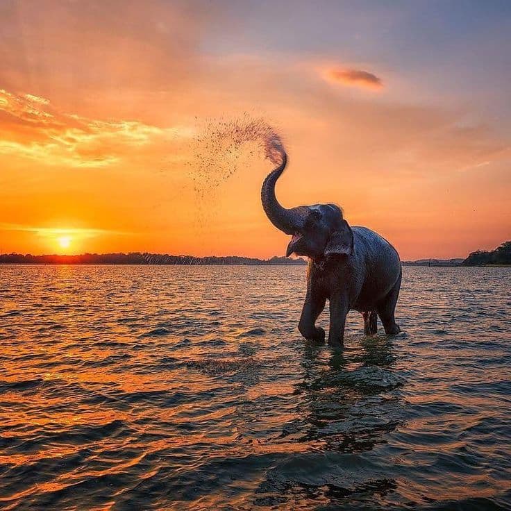 Kerala 4N/5D