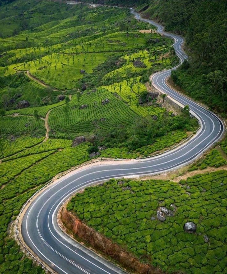 Kerala Tour Package 4N/5D in Kerala, India photo 1