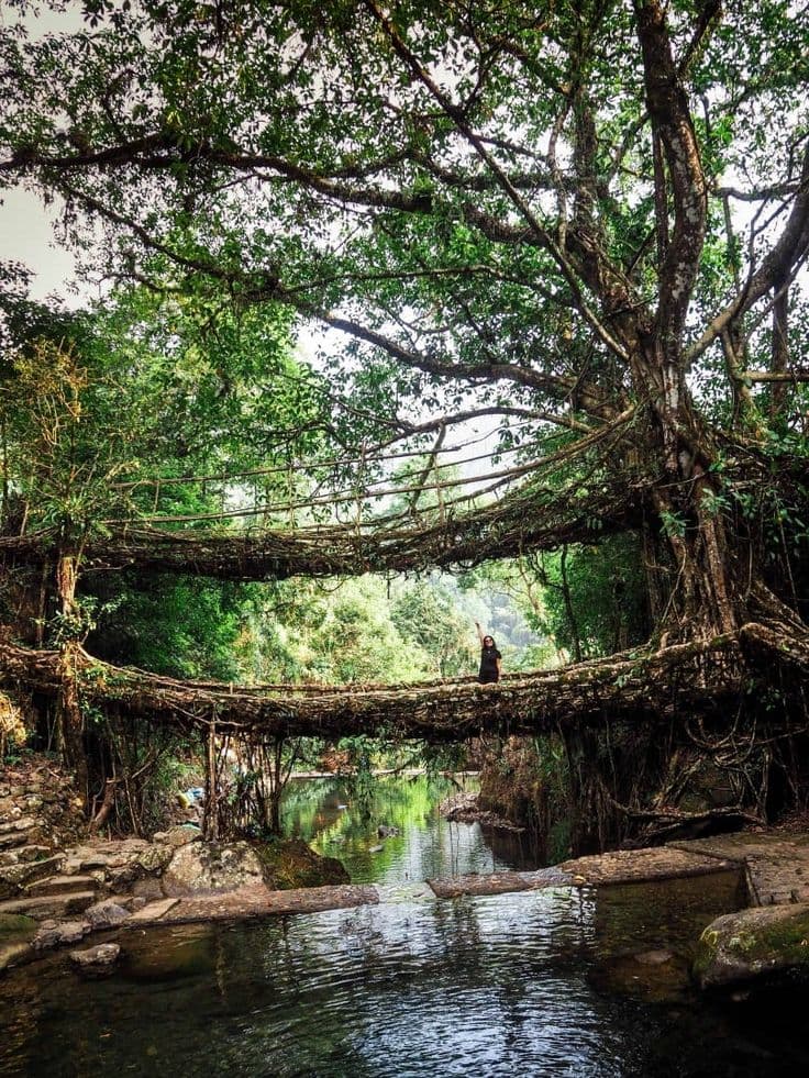 Meghalaya 5N/6D Private Tour secondary