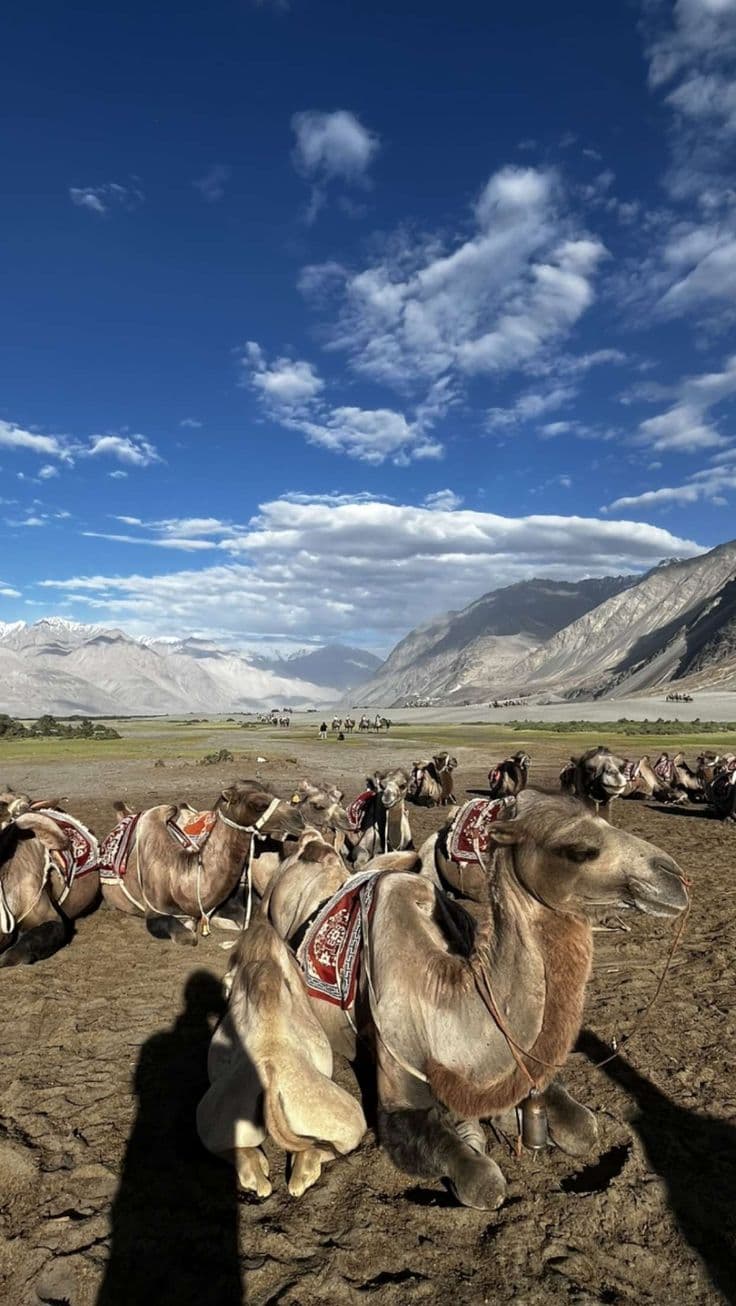 Wonders of Leh Ladakh | Land of High Passes | Private Escape secondary